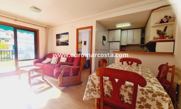 Venta - Apartamento / piso - La Mata - Viñamar II