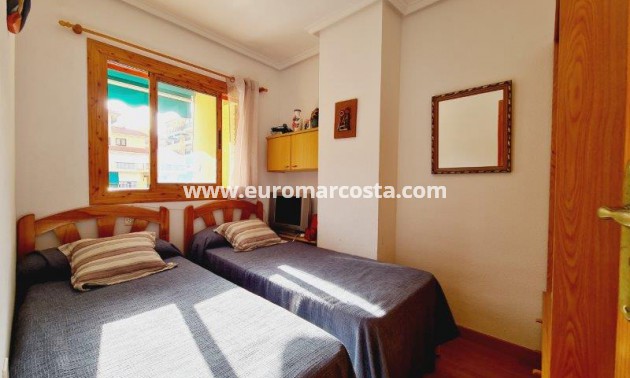 Venta - Apartamento / piso - La Mata - Viñamar II