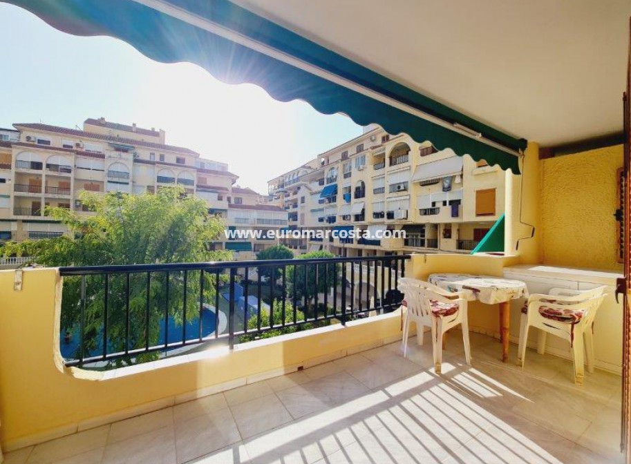 Venta - Apartamento / piso - La Mata - Viñamar II