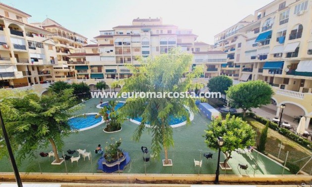 Venta - Apartamento / piso - La Mata - Viñamar II