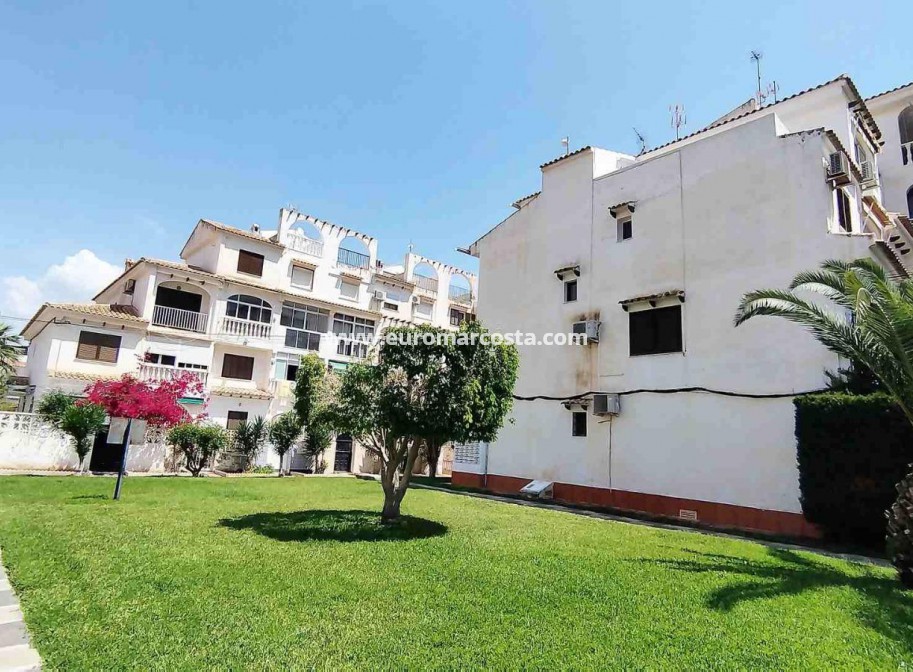 Objekte zum Wiederverkauf - Wohnung - Torrevieja - TORREVIEJA