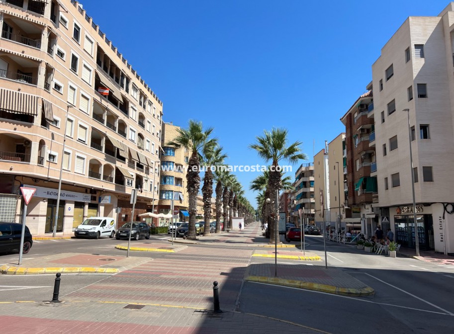 Venta - Apartamento / piso - Guardamar del Segura