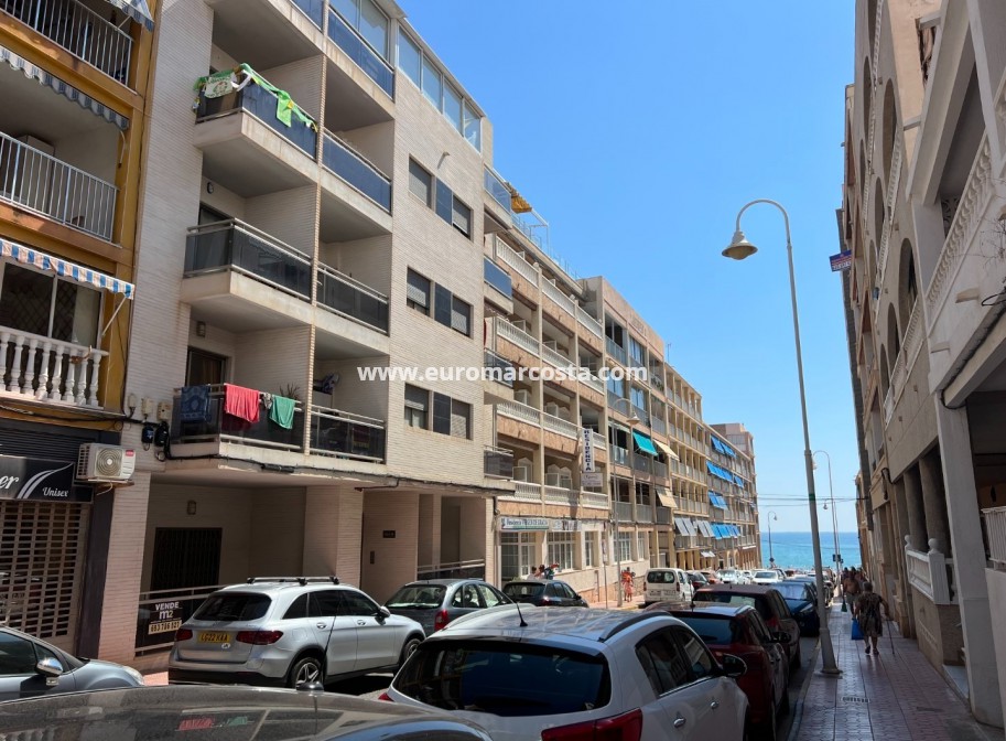 Venta - Apartamento / piso - Guardamar del Segura