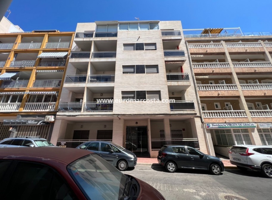 Venta - Apartamento / piso - Guardamar del Segura