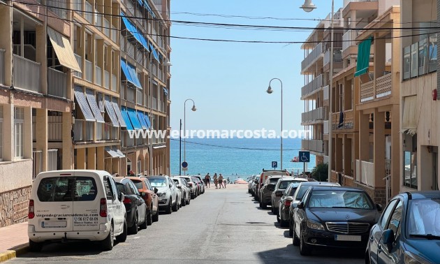 Venta - Apartamento / piso - Guardamar del Segura