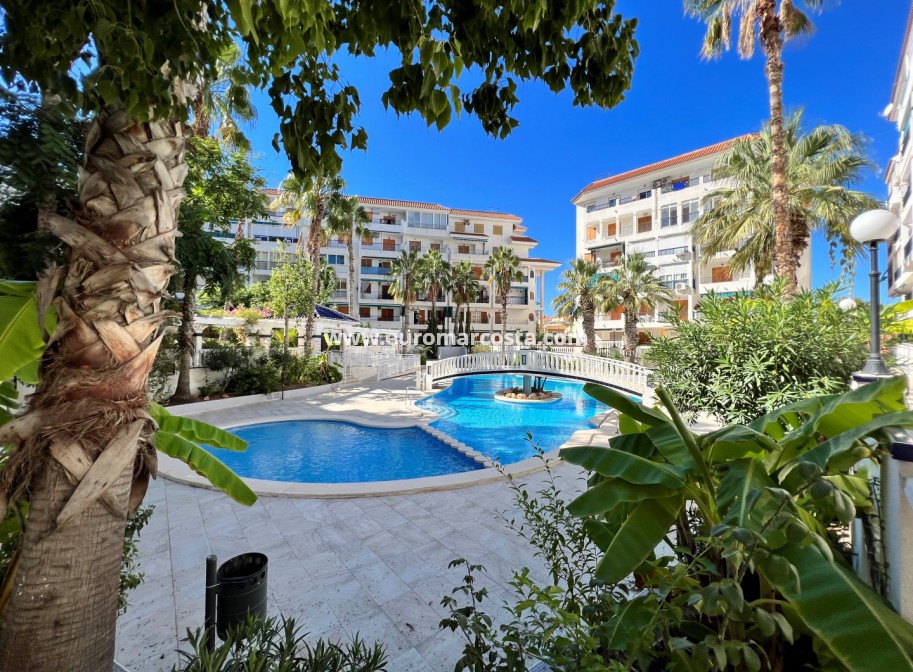 Objekte zum Wiederverkauf - Wohnung - La Mata