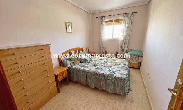 Venta - Apartamento / piso - La Mata