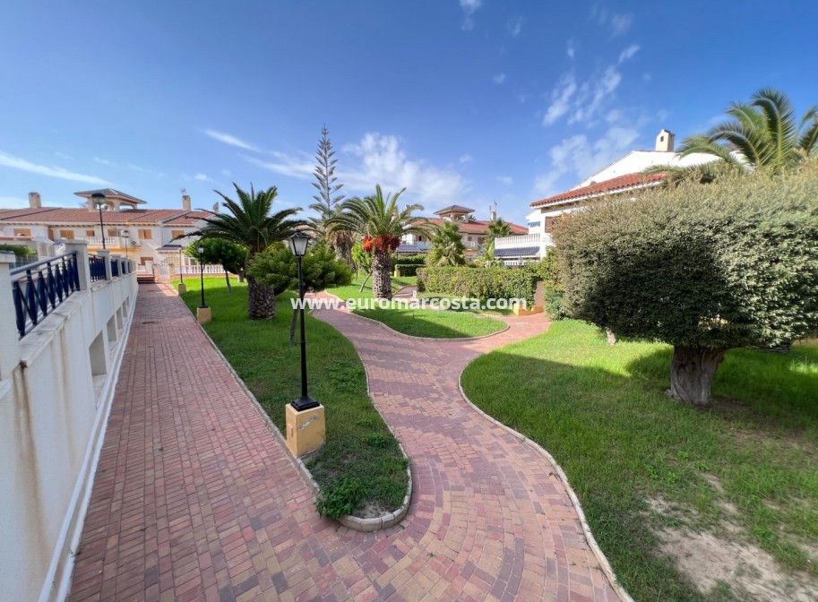 Venta - Apartamento / piso - La Mata