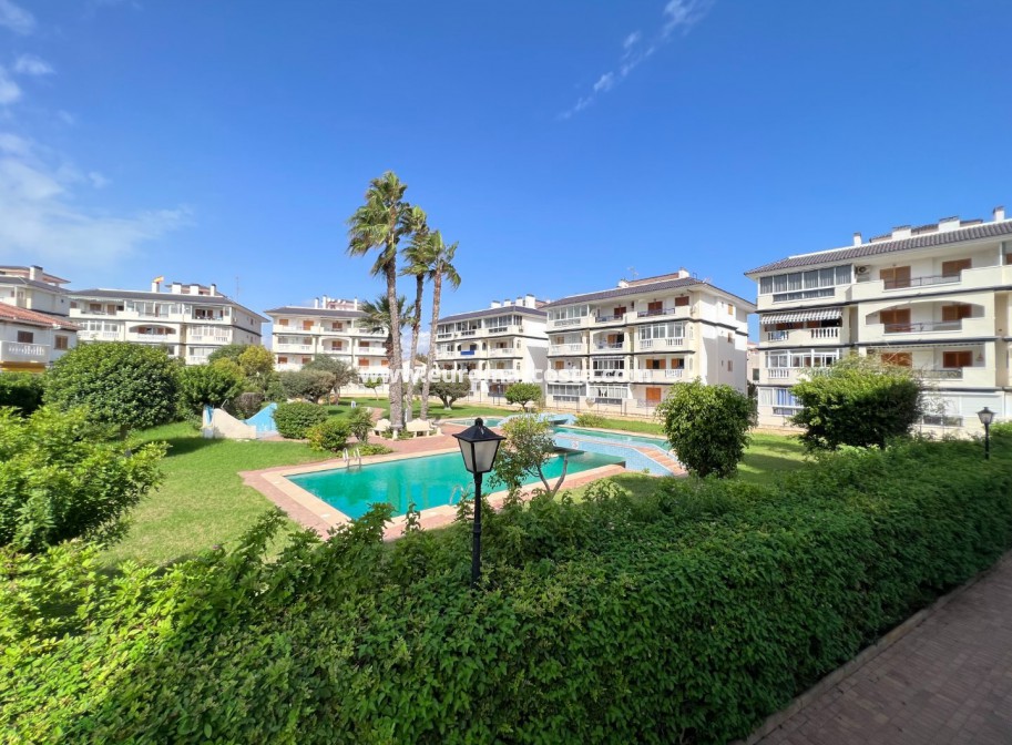 Venta - Apartamento / piso - La Mata