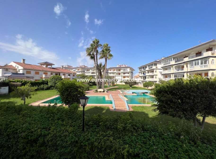 Venta - Apartamento / piso - La Mata