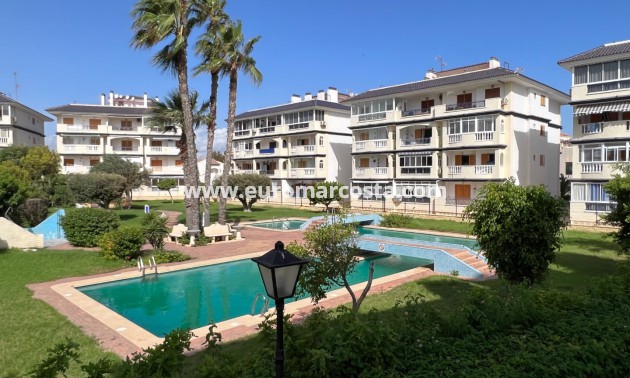 Venta - Apartamento / piso - La Mata