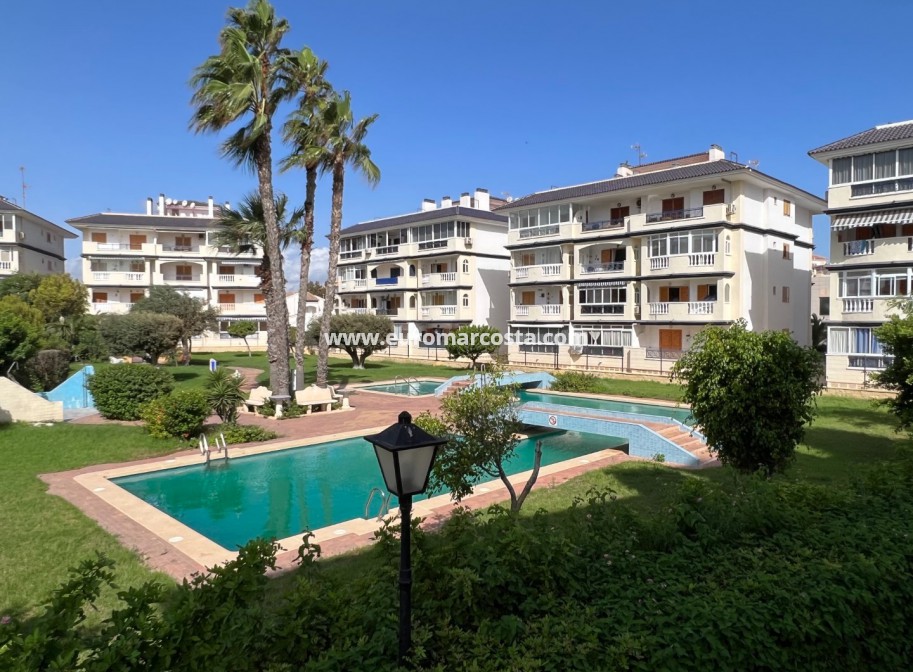 Venta - Apartamento / piso - La Mata