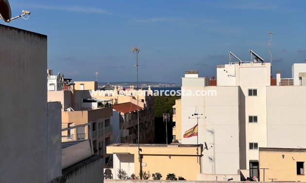 Venta - Apartamento / piso - Guardamar del Segura