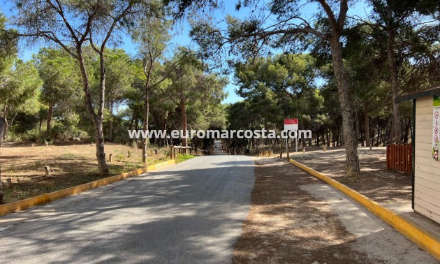 Venta - Apartamento / piso - Guardamar del Segura