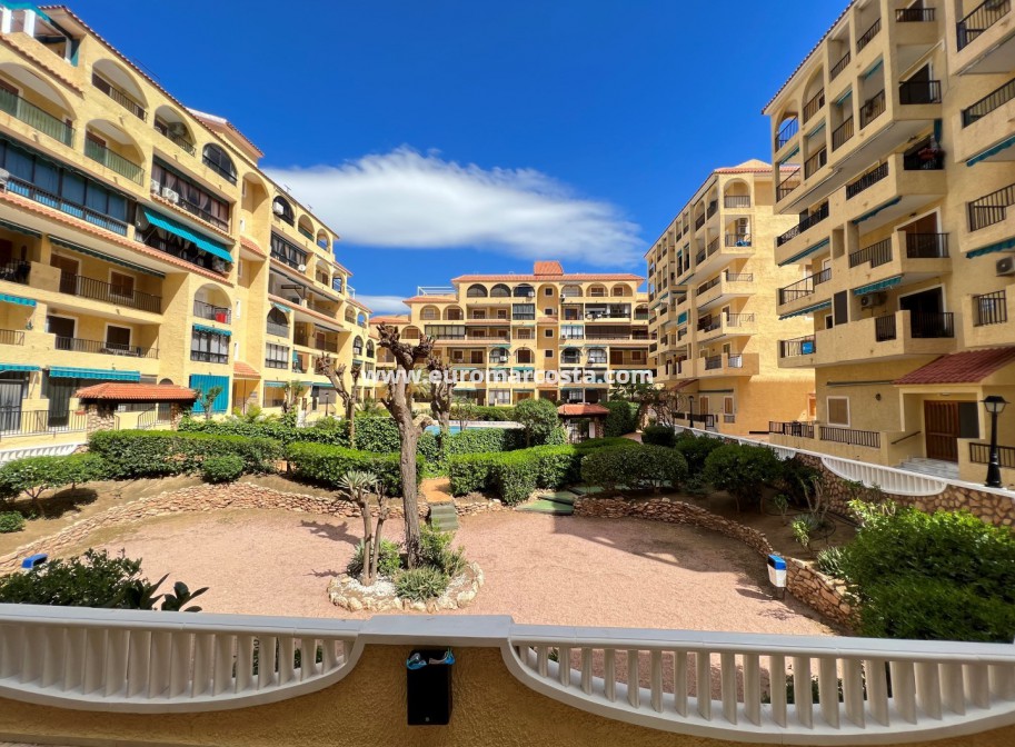 Sale - Apartment / flat - La Mata