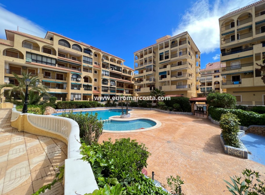 Sale - Apartment / flat - La Mata