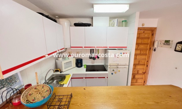 Sale - Apartment / flat - La Mata