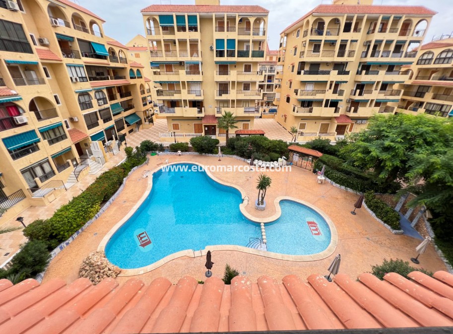 Sale - Apartment / flat - La Mata