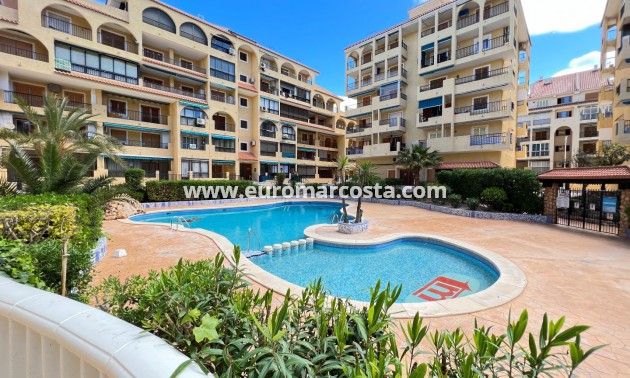 Sale - Apartment / flat - La Mata