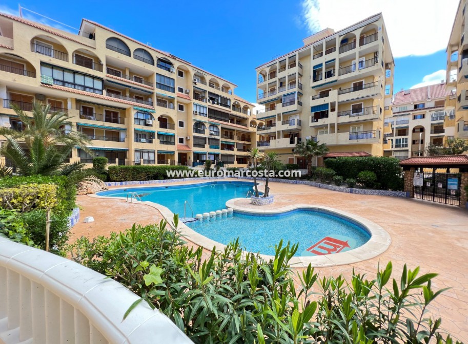Sale - Apartment / flat - La Mata