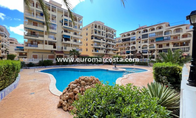 Sale - Apartment / flat - La Mata