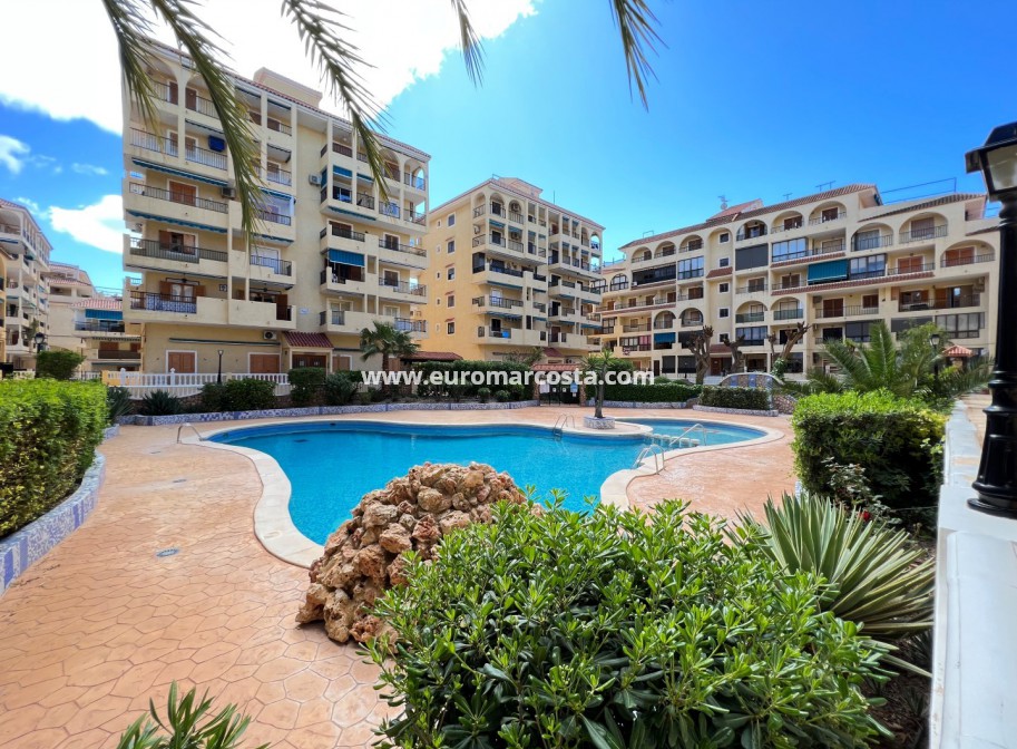 Sale - Apartment / flat - La Mata