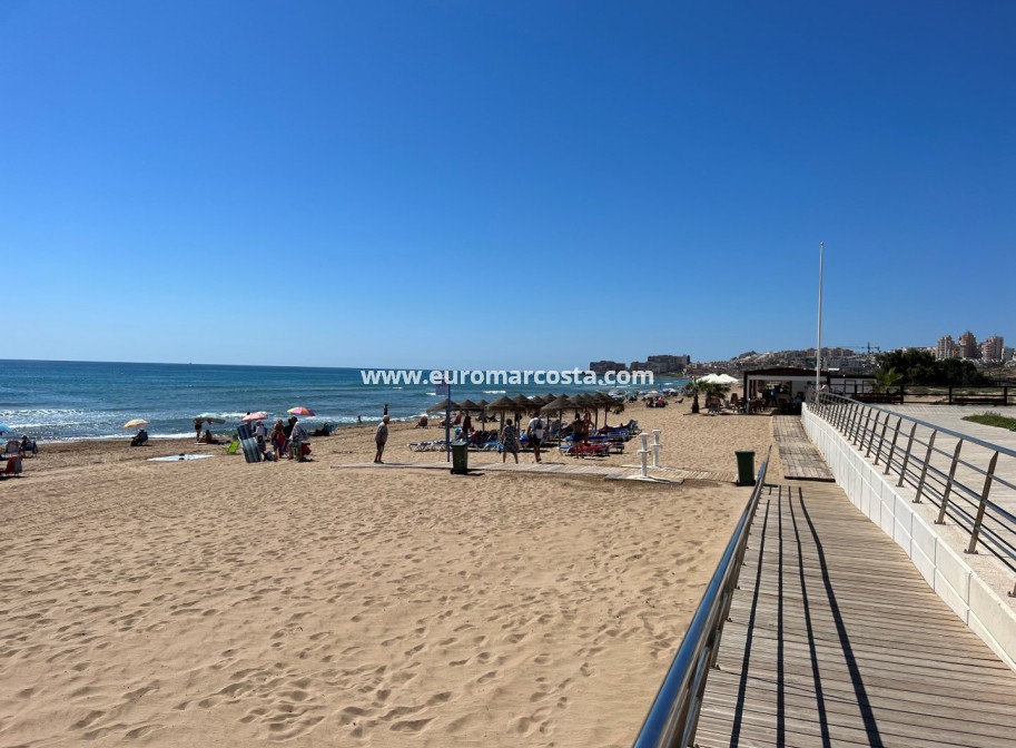 Sale - Apartment / flat - La Mata