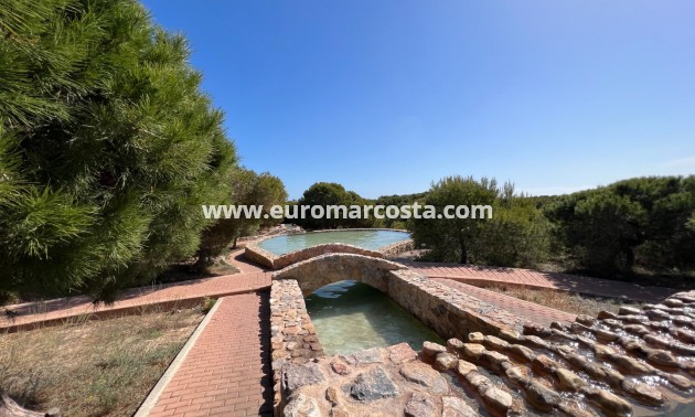 Sale - Apartment / flat - La Mata