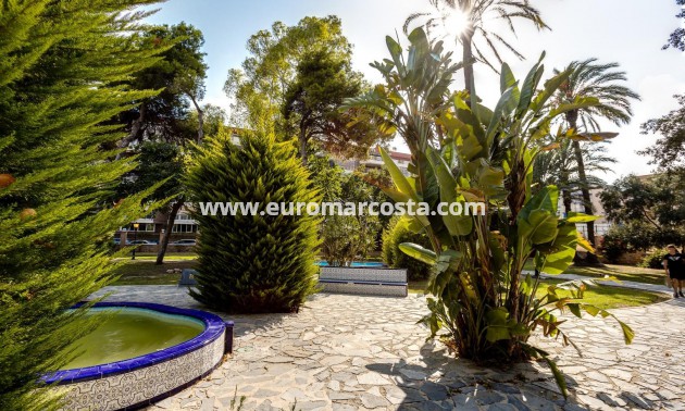 Venta - Bungalow Planta Baja - Torrevieja - TORREVIEJA