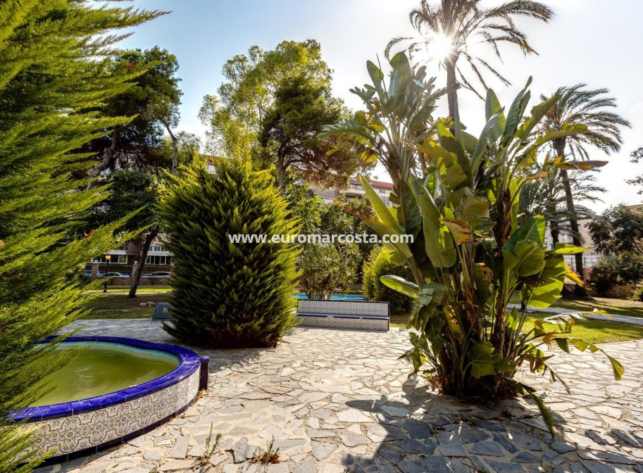 Venta - Bungalow Planta Baja - Torrevieja - TORREVIEJA