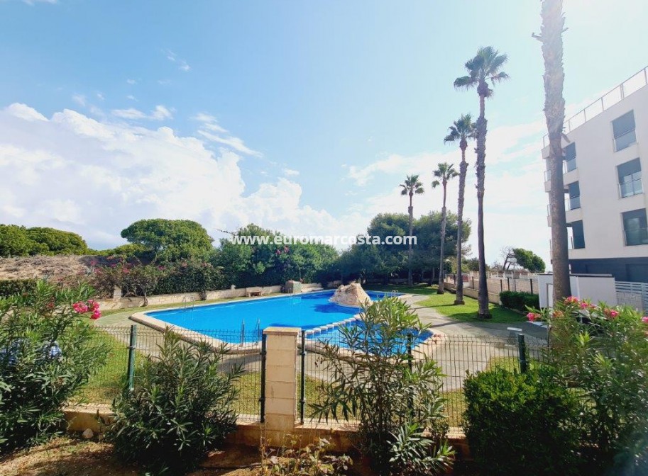 Sale - Apartment / flat - La Mata