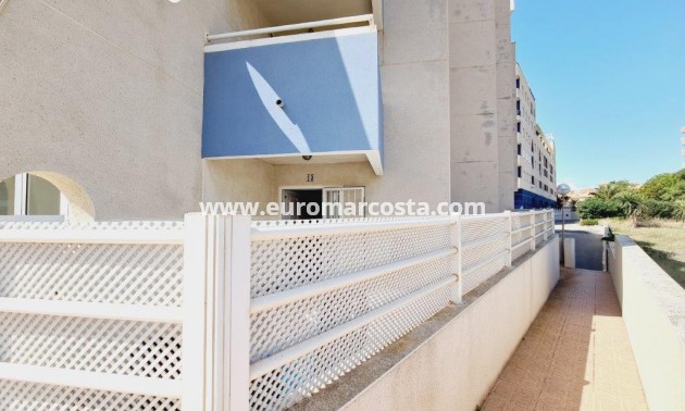 Sale - Apartment / flat - La Mata