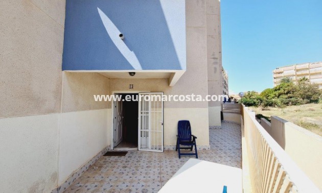 Sale - Apartment / flat - La Mata