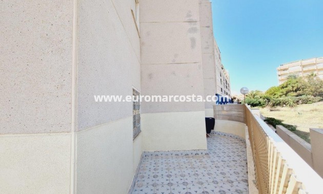 Sale - Apartment / flat - La Mata