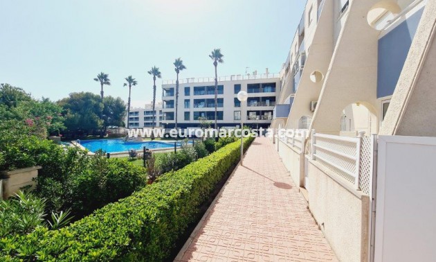 Sale - Apartment / flat - La Mata