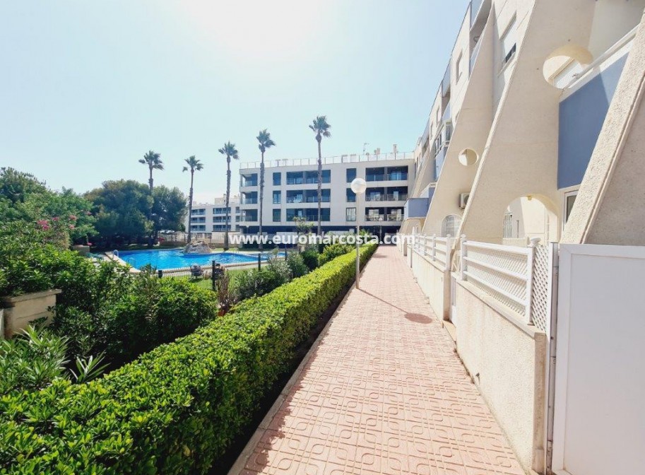 Sale - Apartment / flat - La Mata