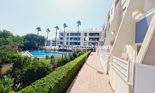Sale - Apartment / flat - La Mata