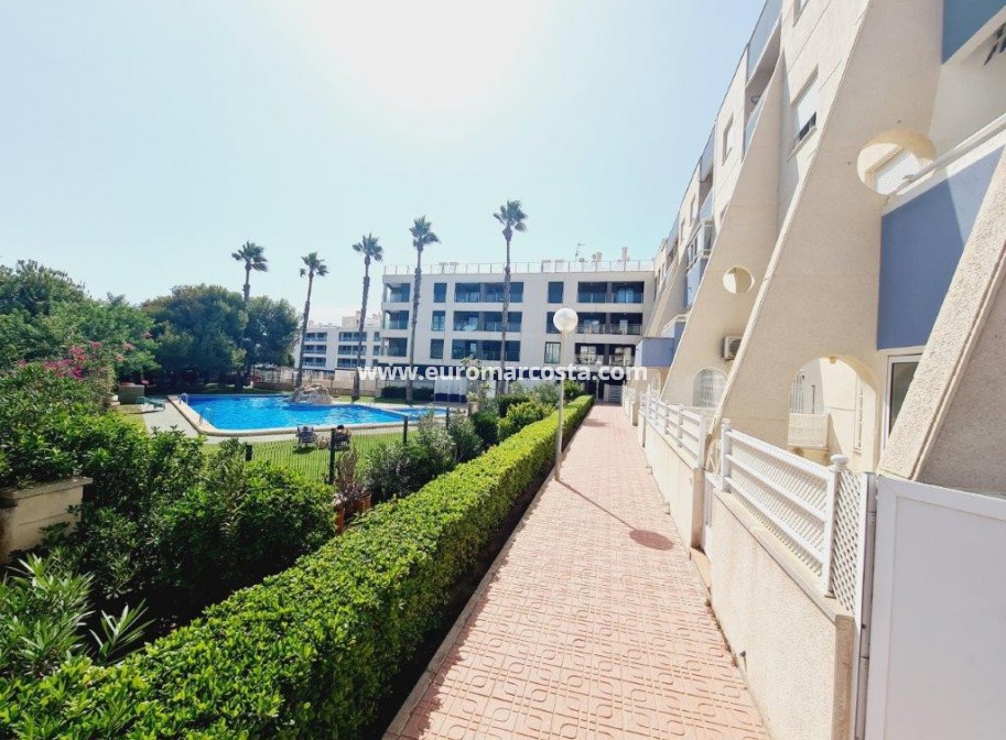 Sale - Apartment / flat - La Mata