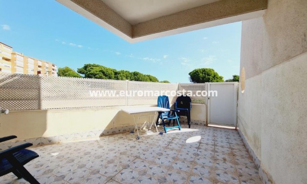 Sale - Apartment / flat - La Mata