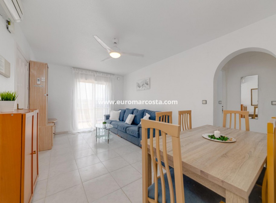 Sale - Bungalow Planta Alta - Torrevieja - TORREVIEJA