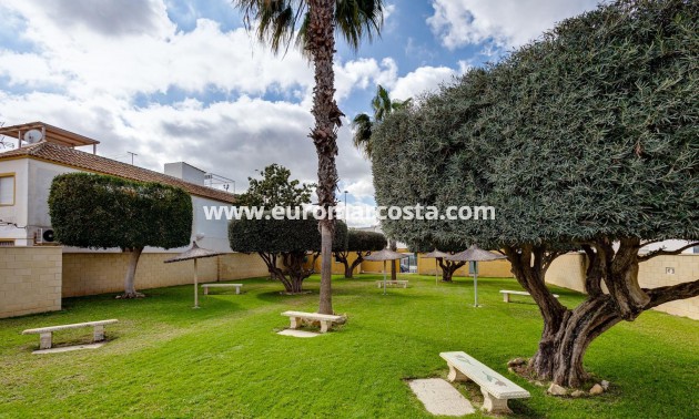 Sale - Bungalow Planta Alta - Torrevieja - TORREVIEJA