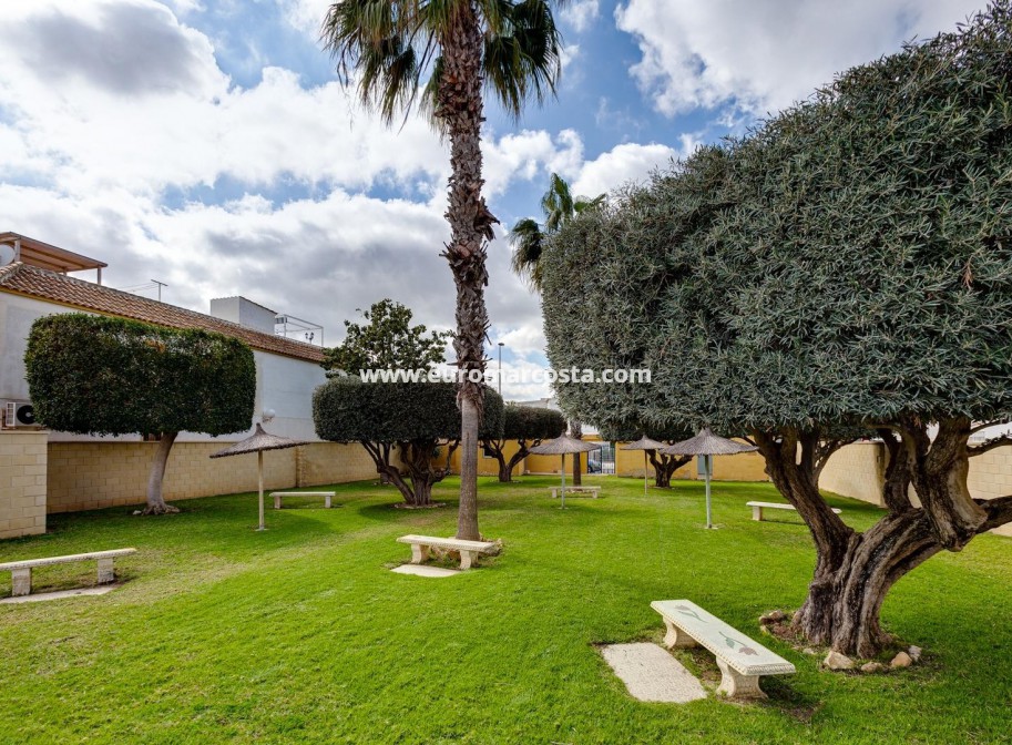 Sale - Bungalow Planta Alta - Torrevieja - TORREVIEJA