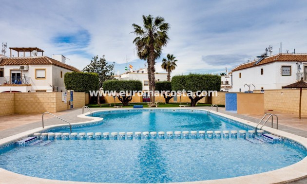 Sale - Bungalow Planta Alta - Torrevieja - TORREVIEJA