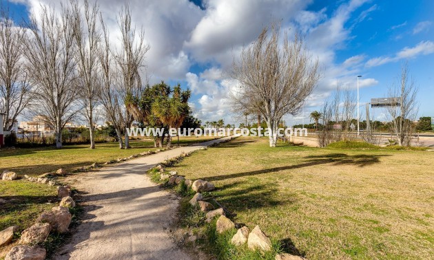 Sale - Bungalow Planta Alta - Torrevieja - TORREVIEJA
