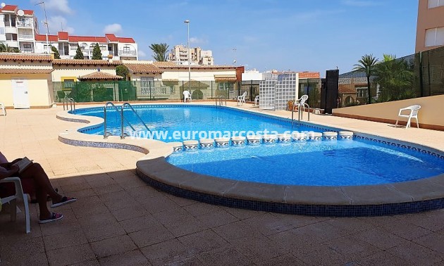 Venta - Apartamento / piso - La Mata