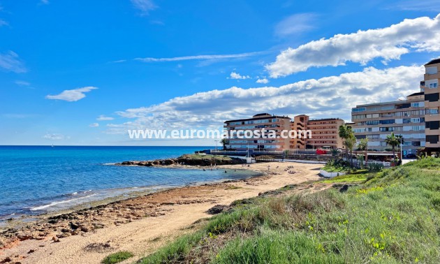 Venta - Apartamento / piso - La Mata