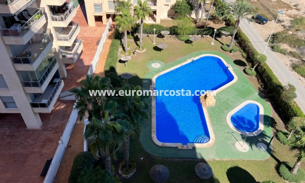 Sale - Apartment / flat - Guardamar del Segura