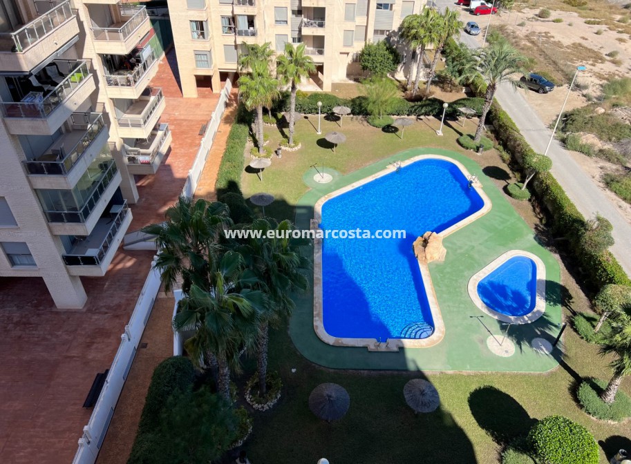 Sale - Apartment / flat - Guardamar del Segura