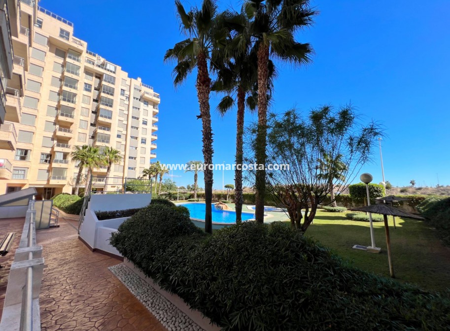 Sale - Apartment / flat - Guardamar del Segura