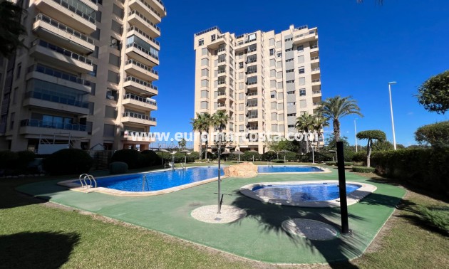 Sale - Apartment / flat - Guardamar del Segura
